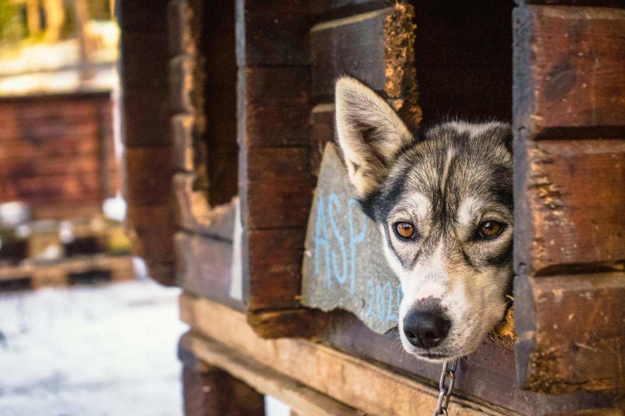 Sorrisniva Arctic Wilderness Lodge 알타 외부 사진